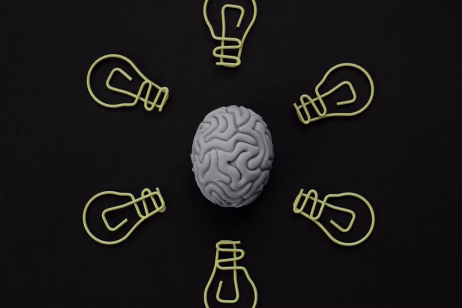 brain